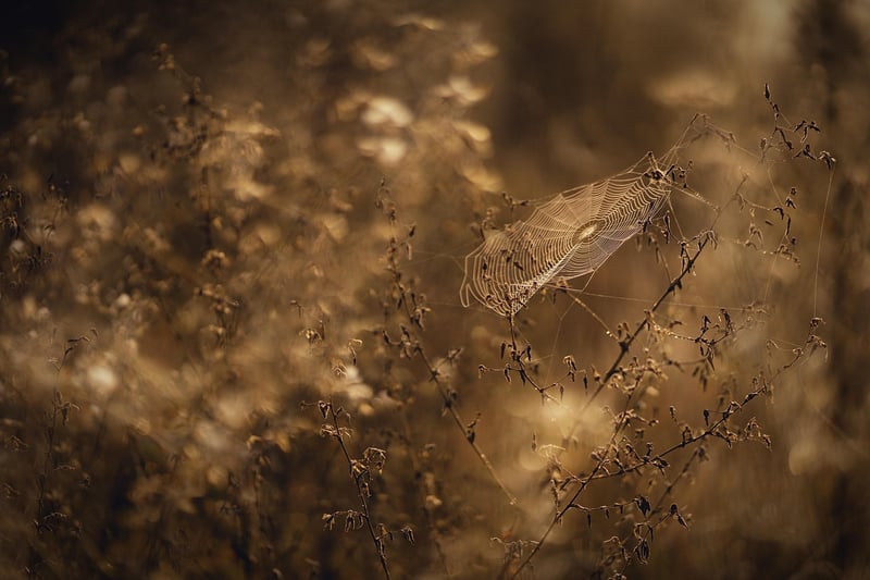 Subtle Discoveries