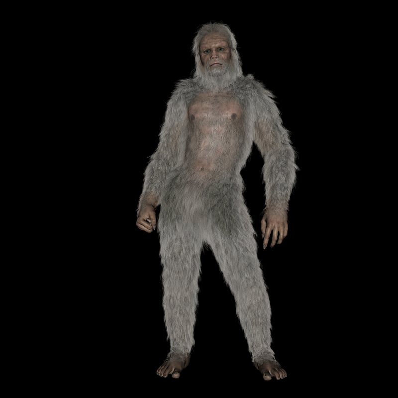 Yeti